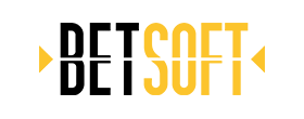 provider